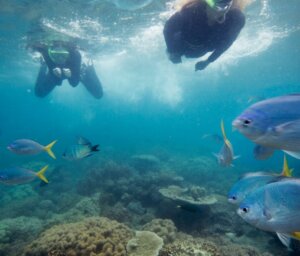 East Coast Australia: Surfing & Island Adventure