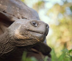 East, Central & West Galapagos Islands Sailing Tour