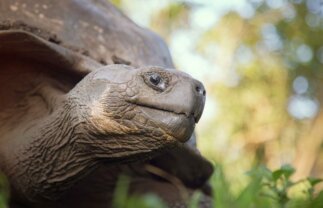 East, Central & West Galapagos Islands Sailing Tour