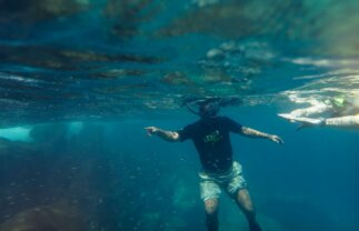 Wilderness & Wildlife of the Galapagos for Young Adults