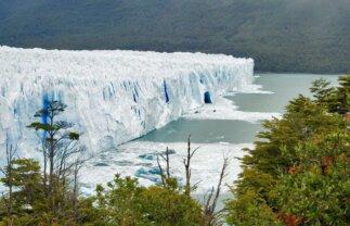 Best of Patagonia Scenic and Wildlife Tour with Cruises