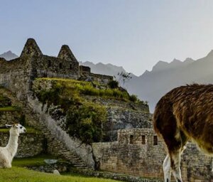 20-Day Fabulous Peru Tour with Amazon Stay