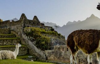 20-Day Fabulous Peru Tour with Amazon Stay