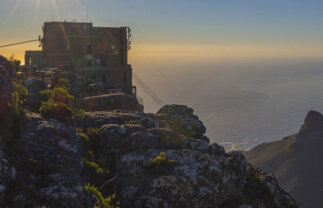 South Africa Encompassed: Cityscapes & Widlife Reserves