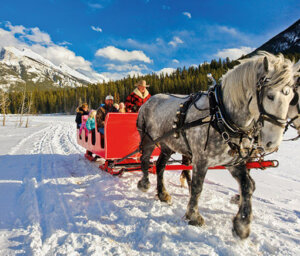 10-Day Canadian Rockies Winter Tour