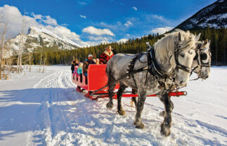 10-Day Canadian Rockies Winter Tour