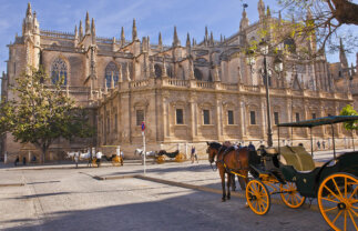 Historic Cities of Andalusia Low-Cost Tour