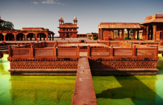 Delhi, Agra and Jaipur with Wildlife Safari Experience