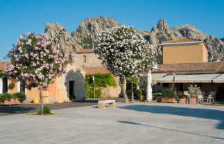 Luxurious Guided Sardinia Holiday