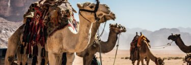 Middle Eastern Scenic and Nature Trips