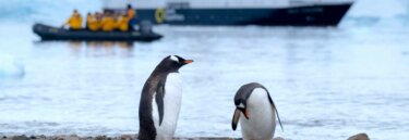 Polar Boat Adventures