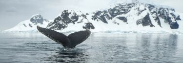 Cultural and Historical Arctic and Antarctic Tours