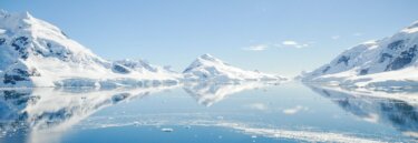 Young Adults Antarctica Trips